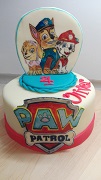Paw patrol